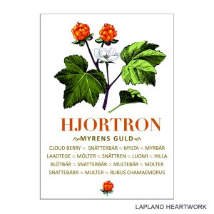 Kökshandduk HJORTRON