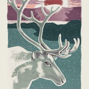 Poster NORRBOTTEN